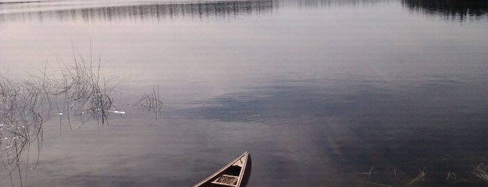 Eskers Provincial Park is one of Prince George Parks & Playgrounds.