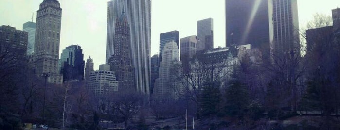 Central Park is one of Empire City.