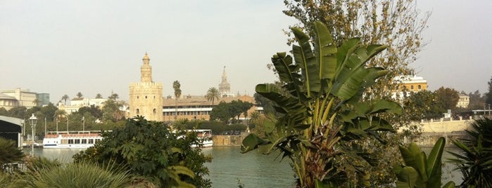 Plaza de Cuba is one of Fabioさんの保存済みスポット.
