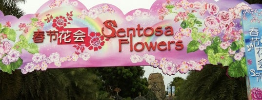 Sentosa Flower 2012 is one of le 4sq with Donald :].