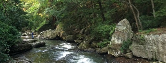 Ohiopyle Rock Slides is one of PA.