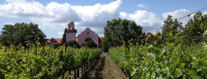 Groth Vineyards & Winery is one of Wineries.