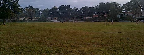 Sunken Garden is one of Places to play Ultimate in Manila.