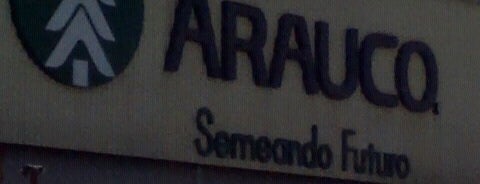 Arauco do Brasil is one of Empresas.