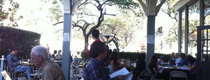 Caffe Strada is one of Berkeley study spots.