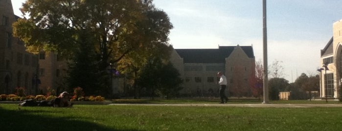 Lower Quad is one of To be a True Tommie....