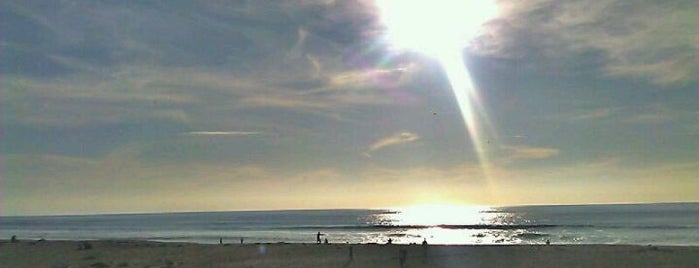 Scott Creek Beach is one of Gilda'nın Beğendiği Mekanlar.