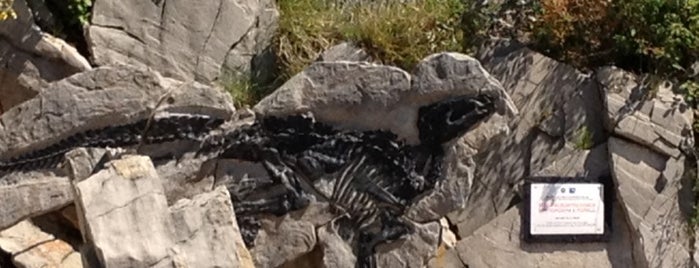 Antonio dinosauro fossile e sito originale is one of Lugares favoritos de Sveta.