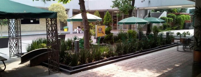 Facultad de Enfermería y Obstetricia (FENO) is one of Orte, die Oscar gefallen.