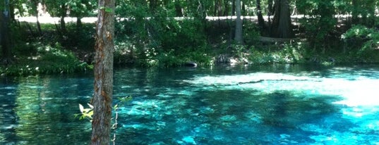 Ginnie Springs is one of Nord-Florida Panhandle / USA.