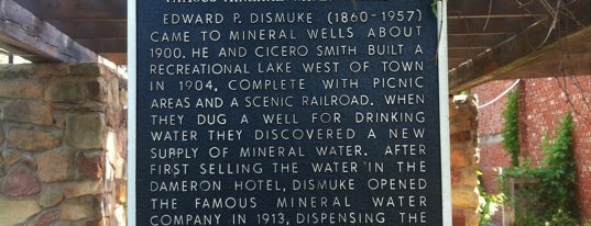 Famous Mineral Water Company is one of The Daytripper's Mineral Wells.