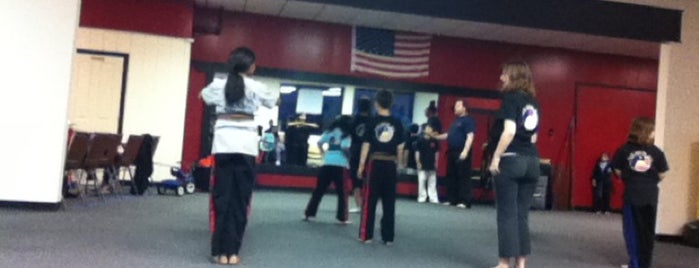 Ellis' Martial Arts is one of My Favorite Local Shops.