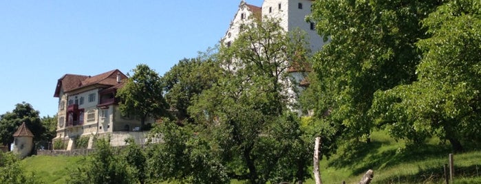 Schloss Wildegg is one of Swiss Museum Pass.