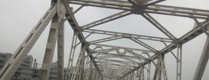 Morodomi Bridge is one of 日本の名橋999選その１.