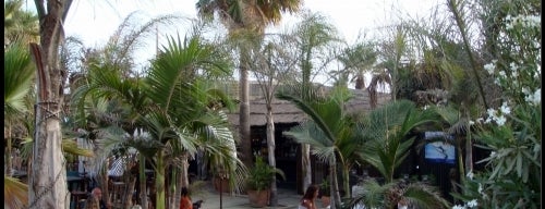 Trocadero Playa is one of Restaurantes recomendados en Marbella.