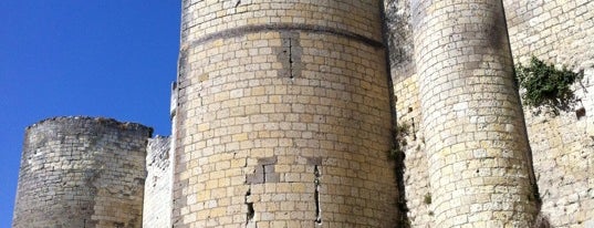 Château de Loches is one of Châteaux de France.