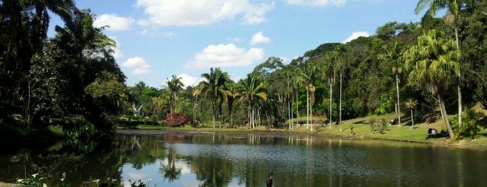 Botanical Garden of São Paulo is one of Cult SP.