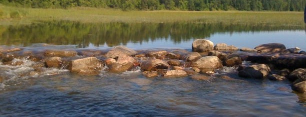 Itasca State Park is one of Northern MN Adventure 2013.