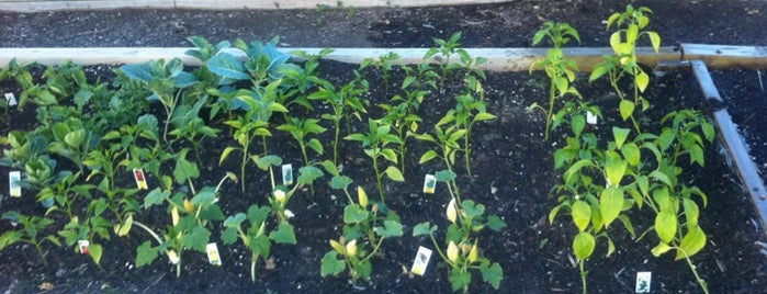 Art Center Community Garden is one of Sailor'un Beğendiği Mekanlar.