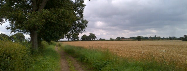 Walk 18: Grubbs Lane, Tylers Causeway Circular is one of Hertfordshire pub walks.