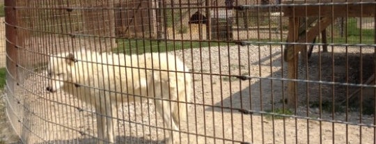 Big Run Wolf Ranch is one of Ed's Saved Places.