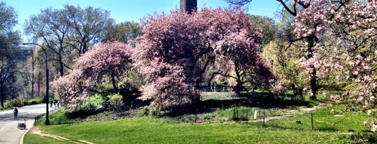 Central Park Loop is one of Lugares favoritos de Khalil.