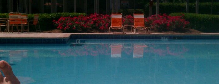 Laurel Hills Pool is one of regulars.