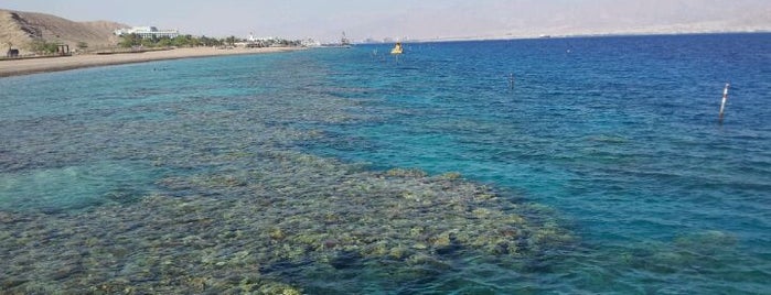 Eilat is one of Lutzkaさんのお気に入りスポット.