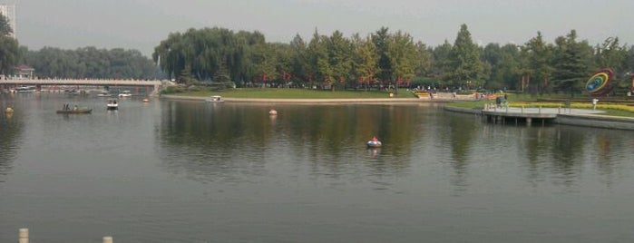 Honglingjin Park is one of Outdoors in Beijing.