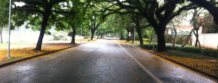 Ibirapuera Park is one of Conhecendo a cidade....