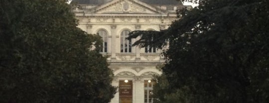 Université Catholique de l'Ouest is one of Angers.