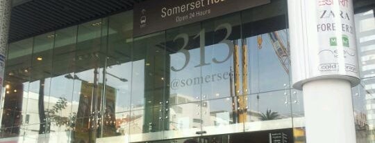 313@somerset is one of Shopping Places.