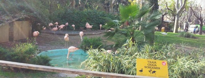 Zoo de Barcelona is one of Must see sights in Barcelona.