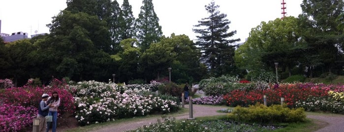Utsubo Park is one of 阿倍野界隈の避難場所.