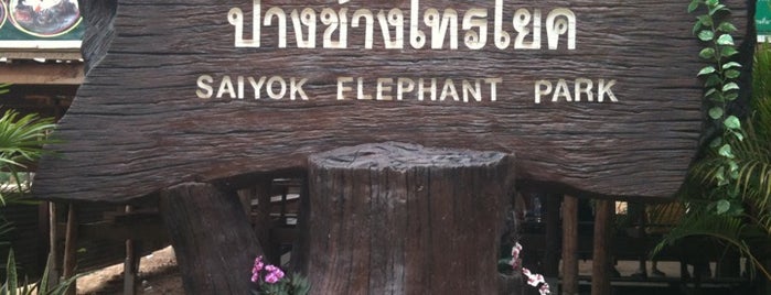Saiyok Elephant Park is one of POI.