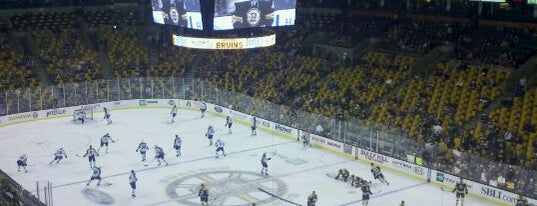 TD Garden is one of Experience NHL Teams.