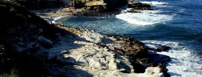 La Jolla Cove is one of 24 Must See in America's Finest City.