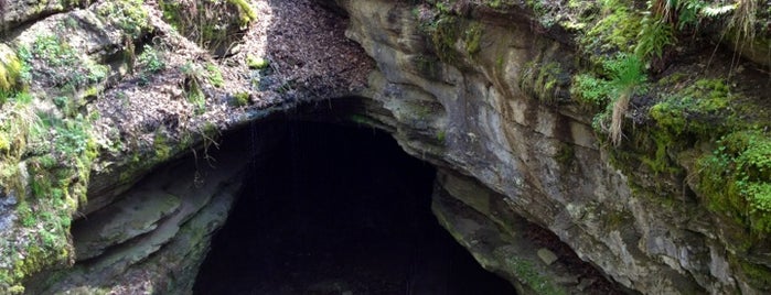 Mammoth Cave National Park is one of National Parks.