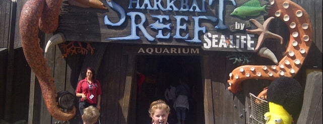 Sharkbait Reef by SEA-LIFE is one of Merlin UK Theme Parks & Attractions.