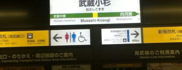 Musashi-Kosugi Station is one of 東京近郊区間主要駅.
