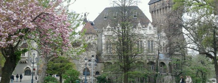 Vajdahunyad Castle is one of StorefrontSticker #4sqCities: Budapest.