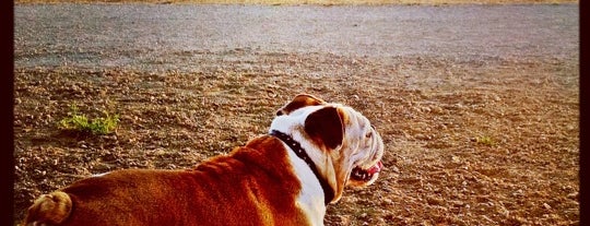 San Leandro Marina Dog Park is one of สถานที่ที่ Gilda ถูกใจ.