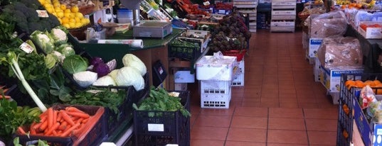 Solofrutta shop is one of Ferrara city and places all around 5th part.