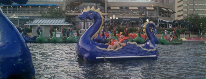 Inner Harbor Paddle Boat Dock is one of Places of Interest.