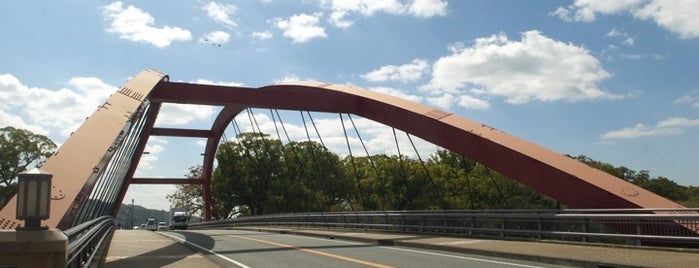 船小屋温泉大橋 is one of 日本の名橋999選その１.