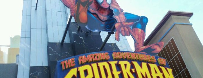 The Amazing Adventures of Spider-Man is one of Theme Parks & Roller Coasters.