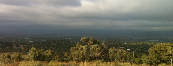 Farrer Ridge Nature Reserve is one of Canberra's Outdoor Running, Walking, Riding Trails.