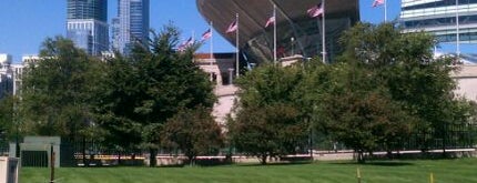 Soldier Field is one of Stadiums I Have Visited.