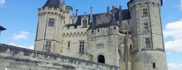 Château de Saumur is one of Best of World Edition part 3.