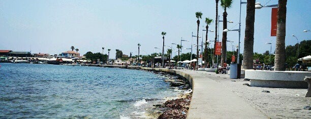 Paphos Harbour is one of Cyprus.